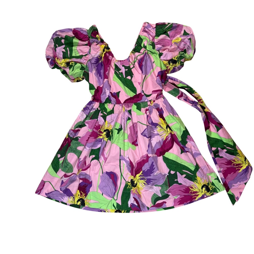 NWT Express Pink Floral Puff Sleeve Mini Dress Sweetheart Sz S Cottagecore Girly
